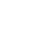 Logo Txaico